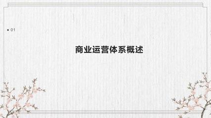 建立稳定的商业运营体系